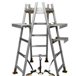 Camera Ladder Mount W/2 Steps & Battery Tray