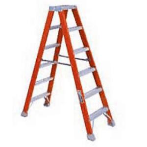 Ladder, 6' Mechanic (Double)